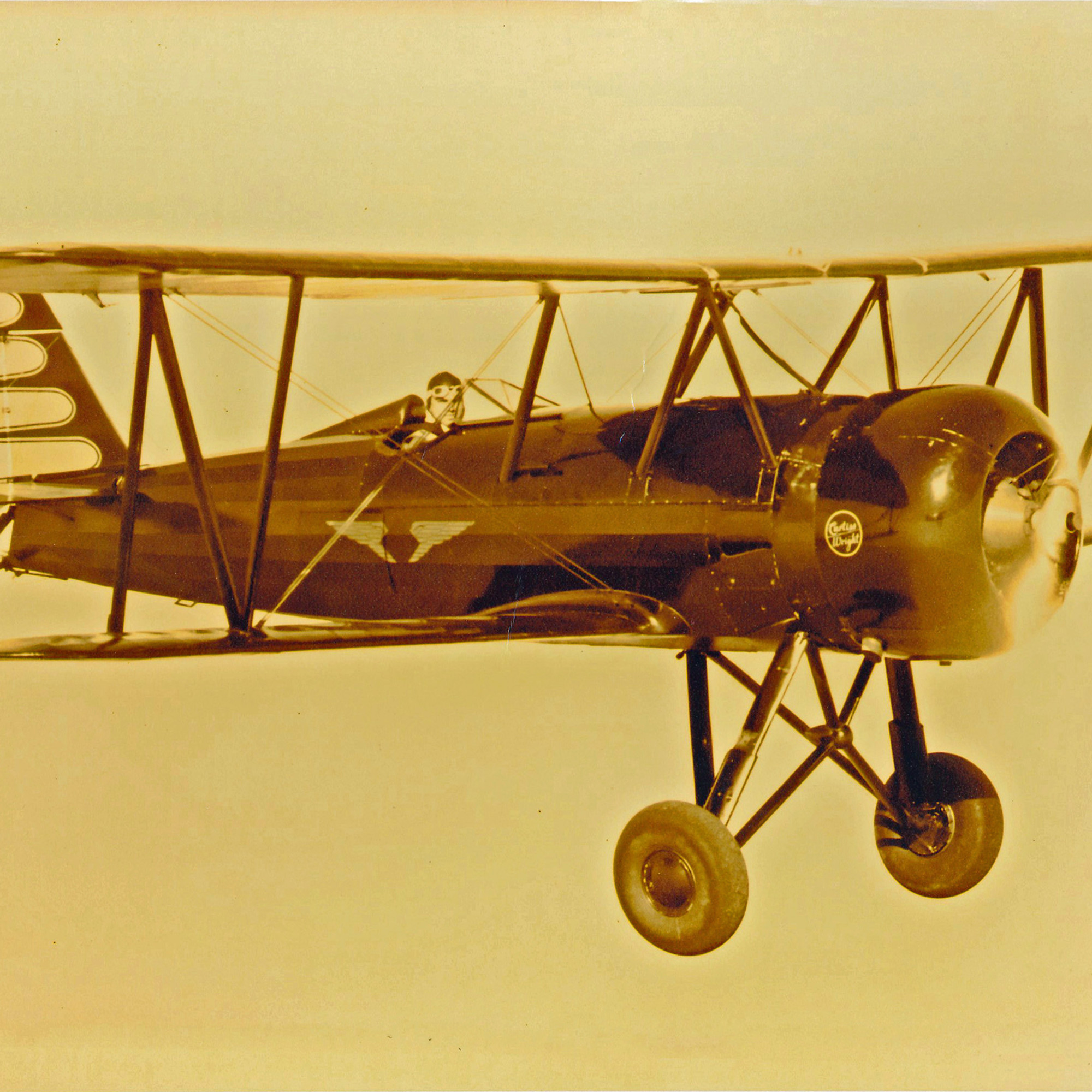 The Lambert Speedwing